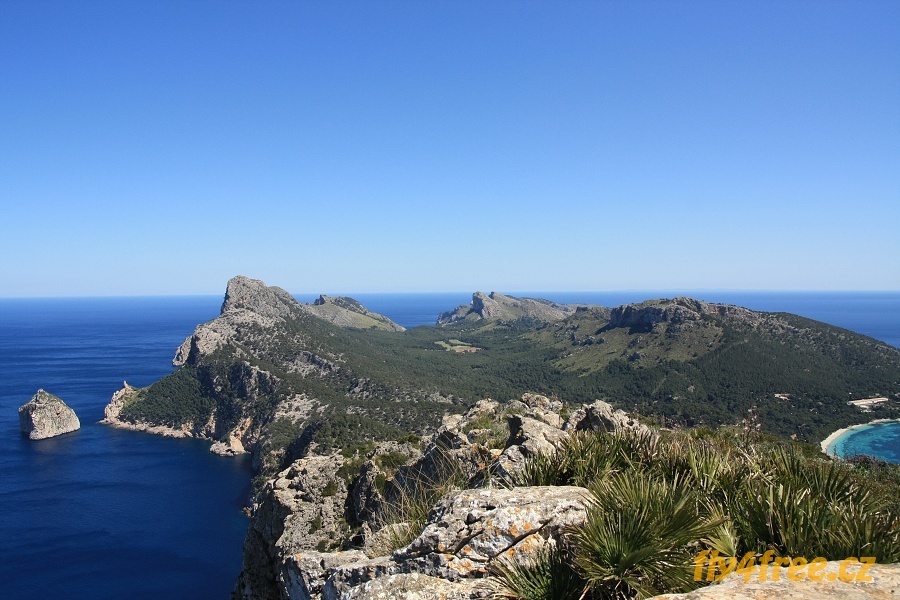 img00045.jpg