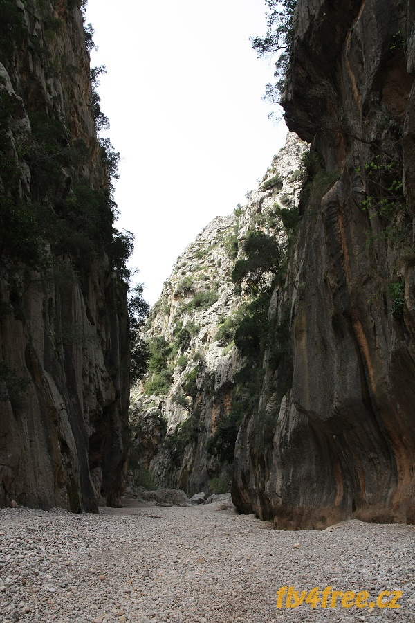 img00078.jpg