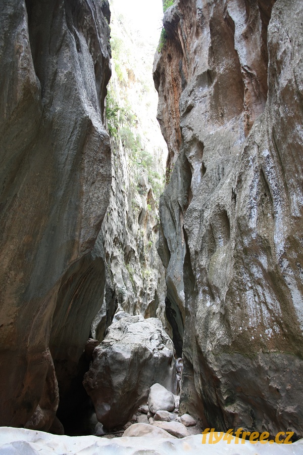 img00079.jpg