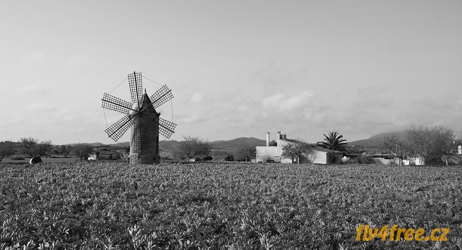 img00085.jpg
