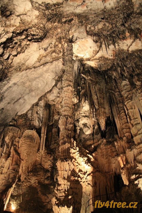 img00095.jpg