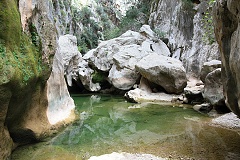 thn00077.jpg