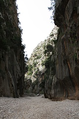 thn00078.jpg