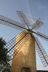 thn00083.jpg