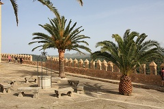 thn00087.jpg