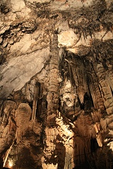 thn00095.jpg