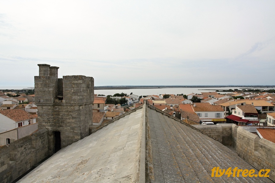 img00011.jpg