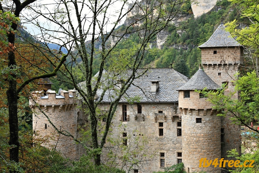 img00020.jpg