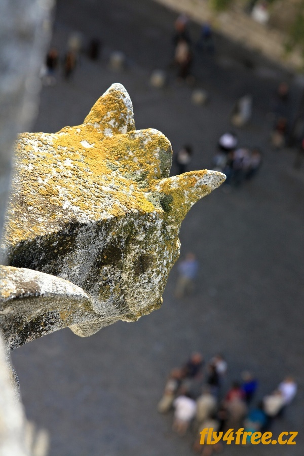 img00051.jpg