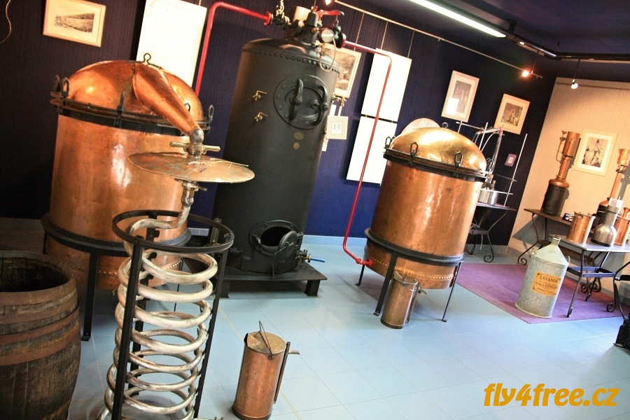 img00066.jpg