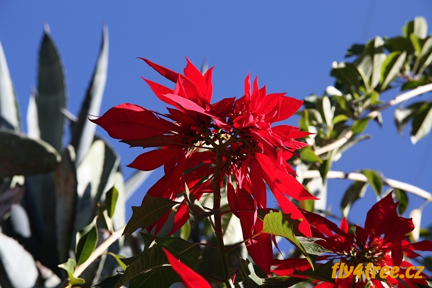 img00002.jpg