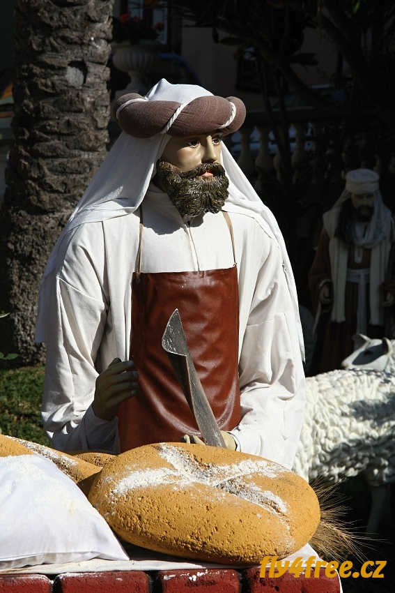 img00006.jpg