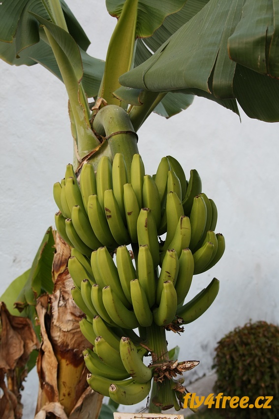 img00019.jpg