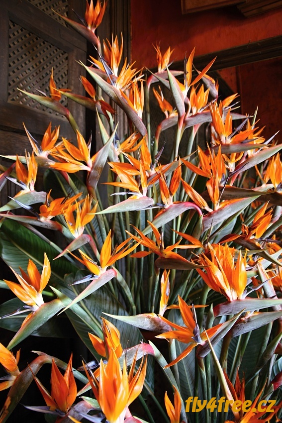img00020.jpg