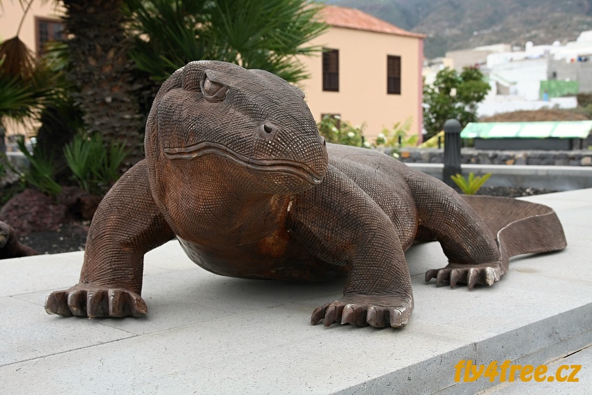 img00040.jpg