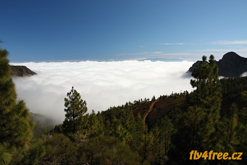 img00047.jpg