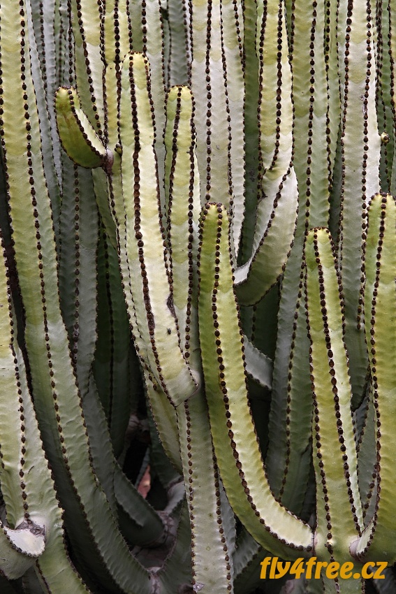 img00057.jpg
