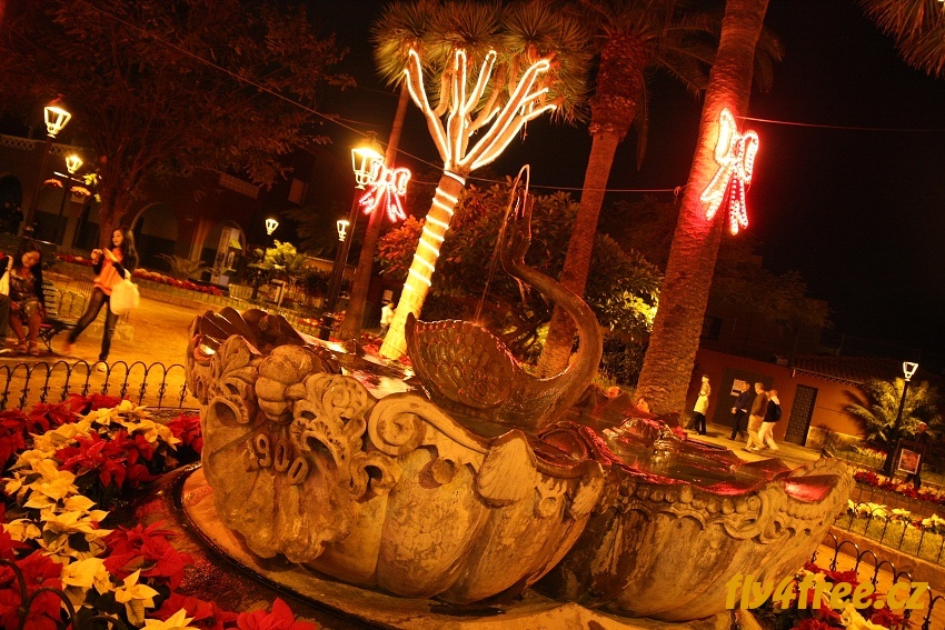 img00087.jpg