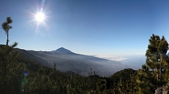 thn00049.jpg