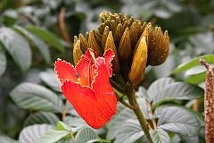 thn00067.jpg